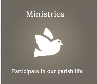 Blessed Mother Teresa Parish Ministries