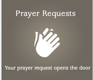 Blessed Mother Teresa Parish in Depew Prayer Requests